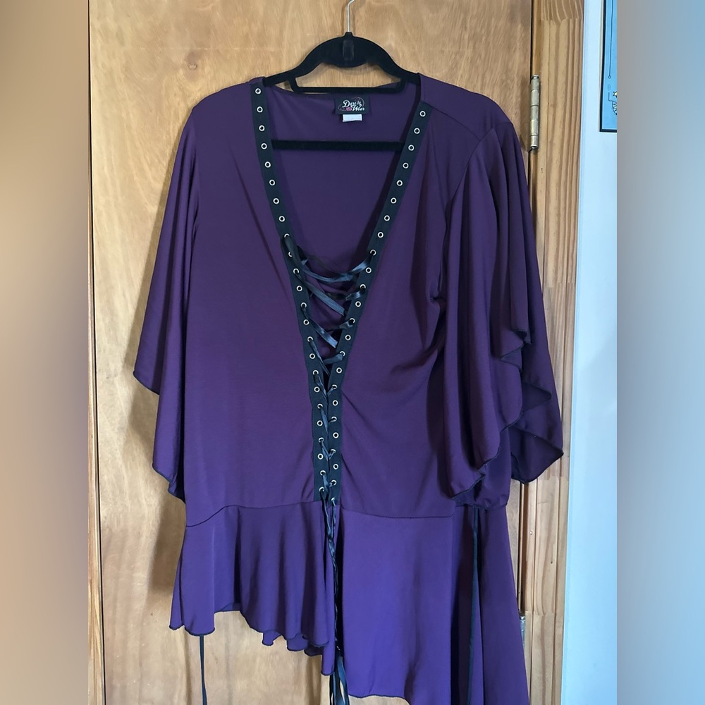 Dare to Wear Alchemy Corset top